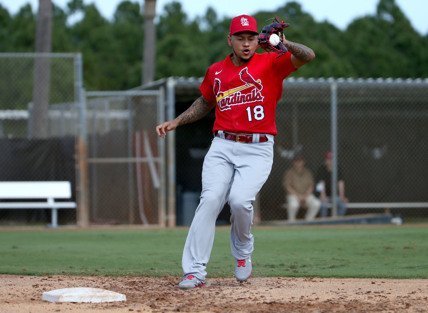 First official workout of Cardinals spring training